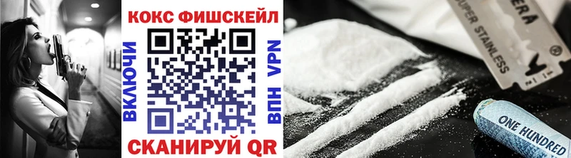 КОКАИН Fish Scale  площадка клад  Новозыбков  ОМГ ОМГ сайт 