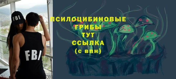 дурь Нязепетровск