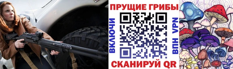 что такое наркотик  Новозыбков  Псилоцибиновые грибы мухоморы 
